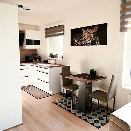 Elegant New Flat Near Airport Tram To Centre Appartamento